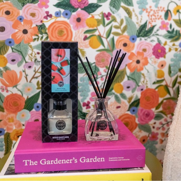 Petite Reed Diffuser Melon Pop - Picture 5 of 6